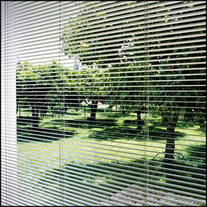Integral Blinds & Shutters